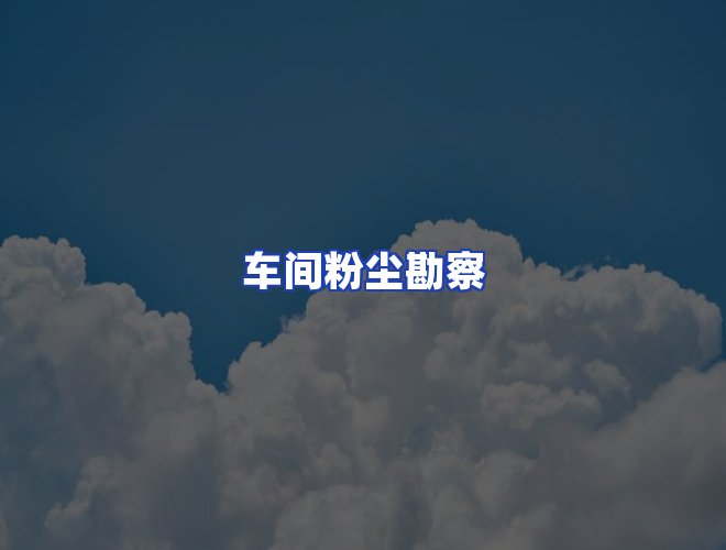 专业团队