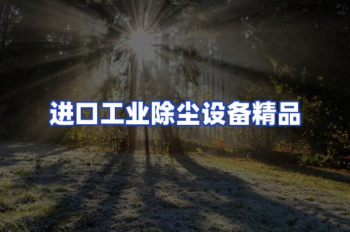 进口除尘设备